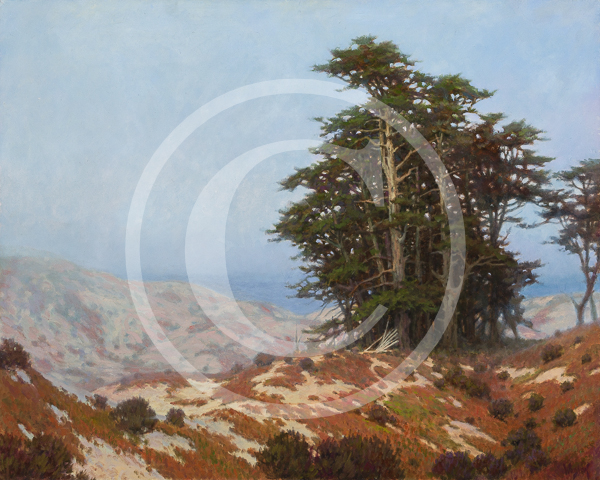 Artist_Patrick_Woodman